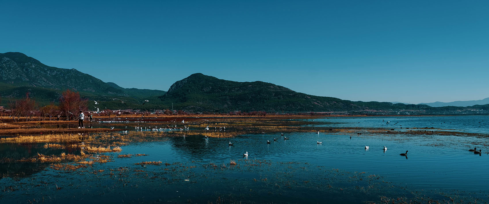 云南麗江·茶馬道拉市海麗世山居酒店設計 云南麗江·茶馬道拉市海麗世山居酒店設計